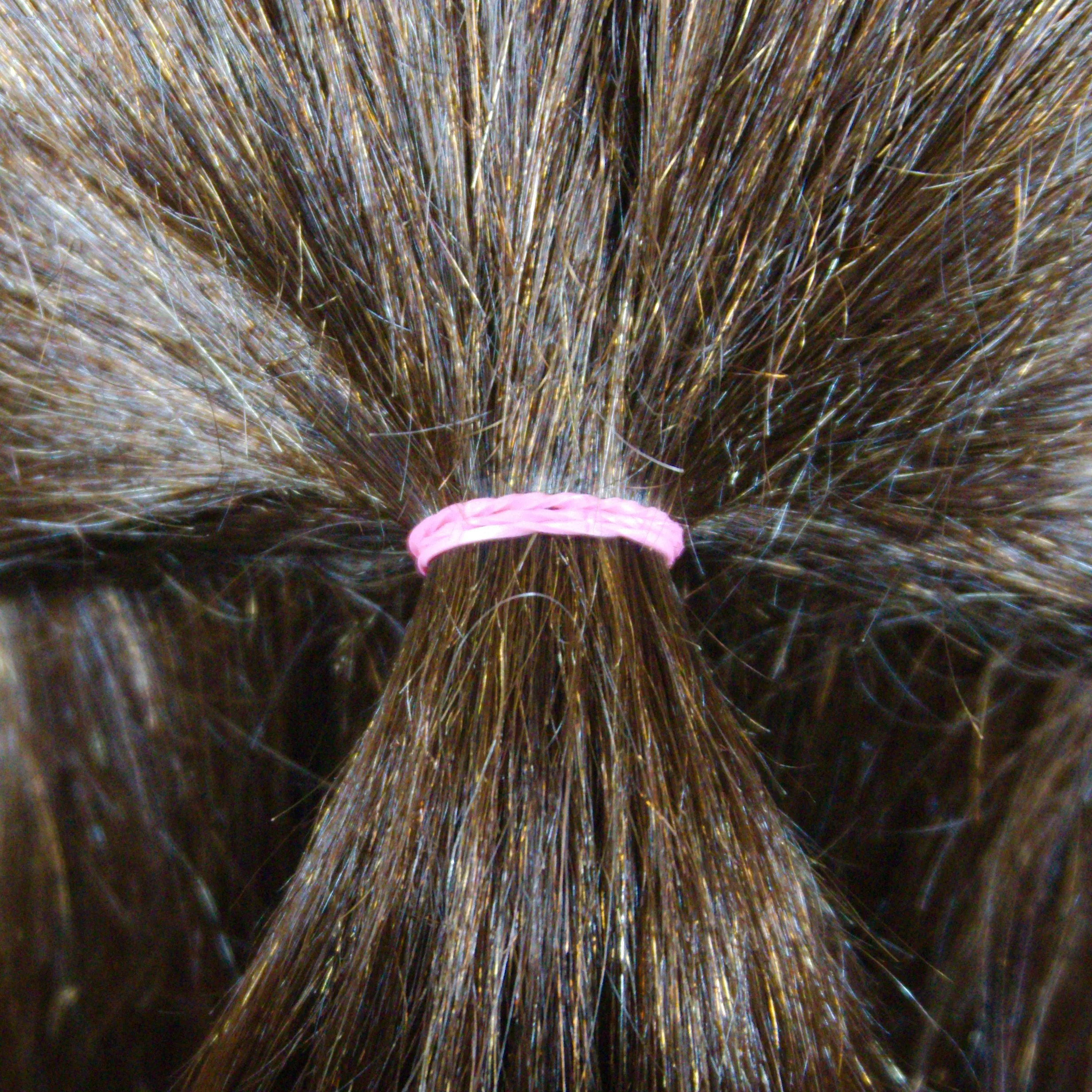 Amelia Beauty | 1/2in, Pink, Elastic Rubber Band Pony Tail Holders | Made in USA, Ideal for Ponytails, Braids, Twists, Dreadlocks, Styling Accessories for Women, Men and Girls | 500 Pack