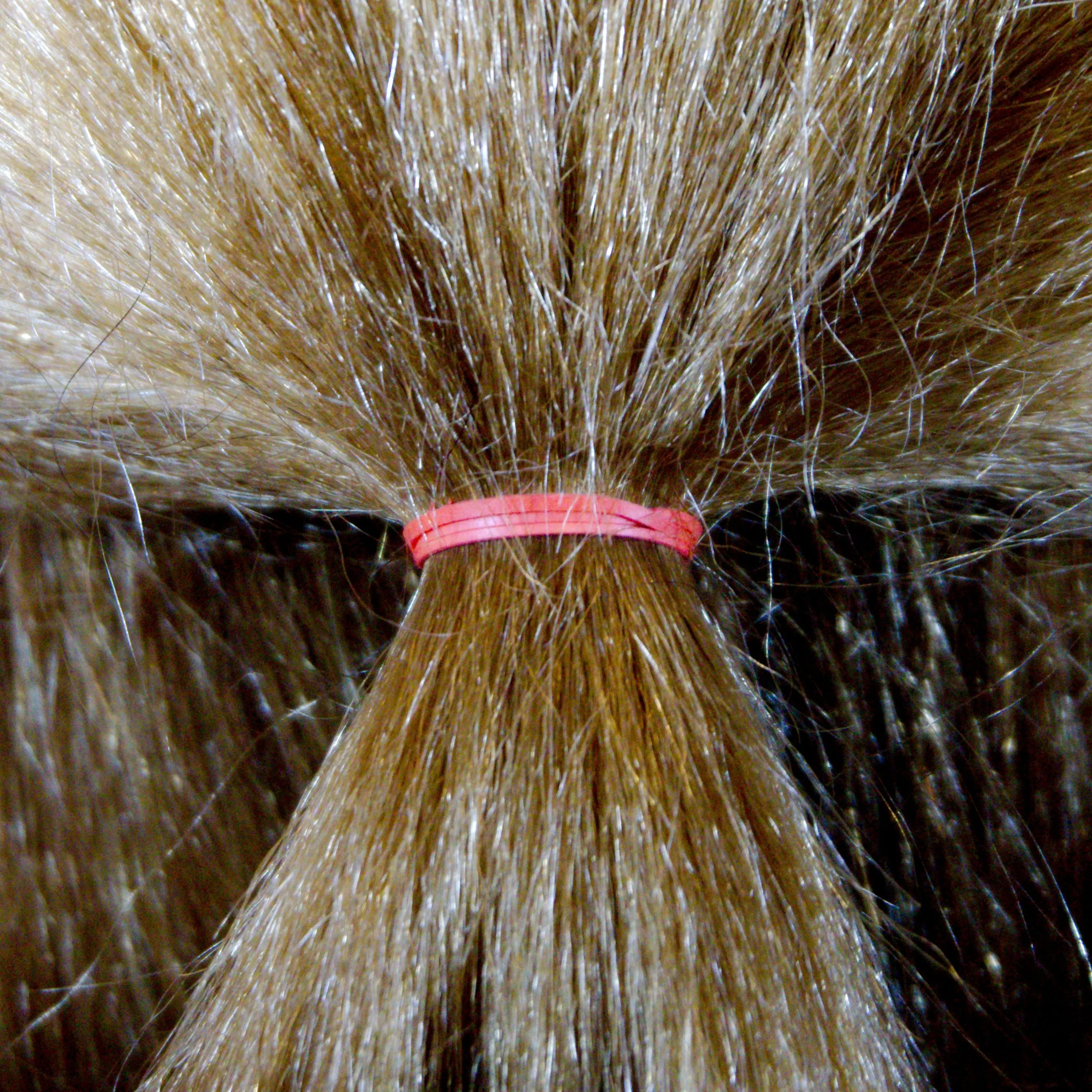 Amelia Beauty | 1/2in, Red, Elastic Rubber Band Pony Tail Holders | Made in USA, Ideal for Ponytails, Braids, Twists, Dreadlocks, Styling Accessories for Women, Men and Girls | 1000 Pack