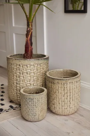 Chimera pot