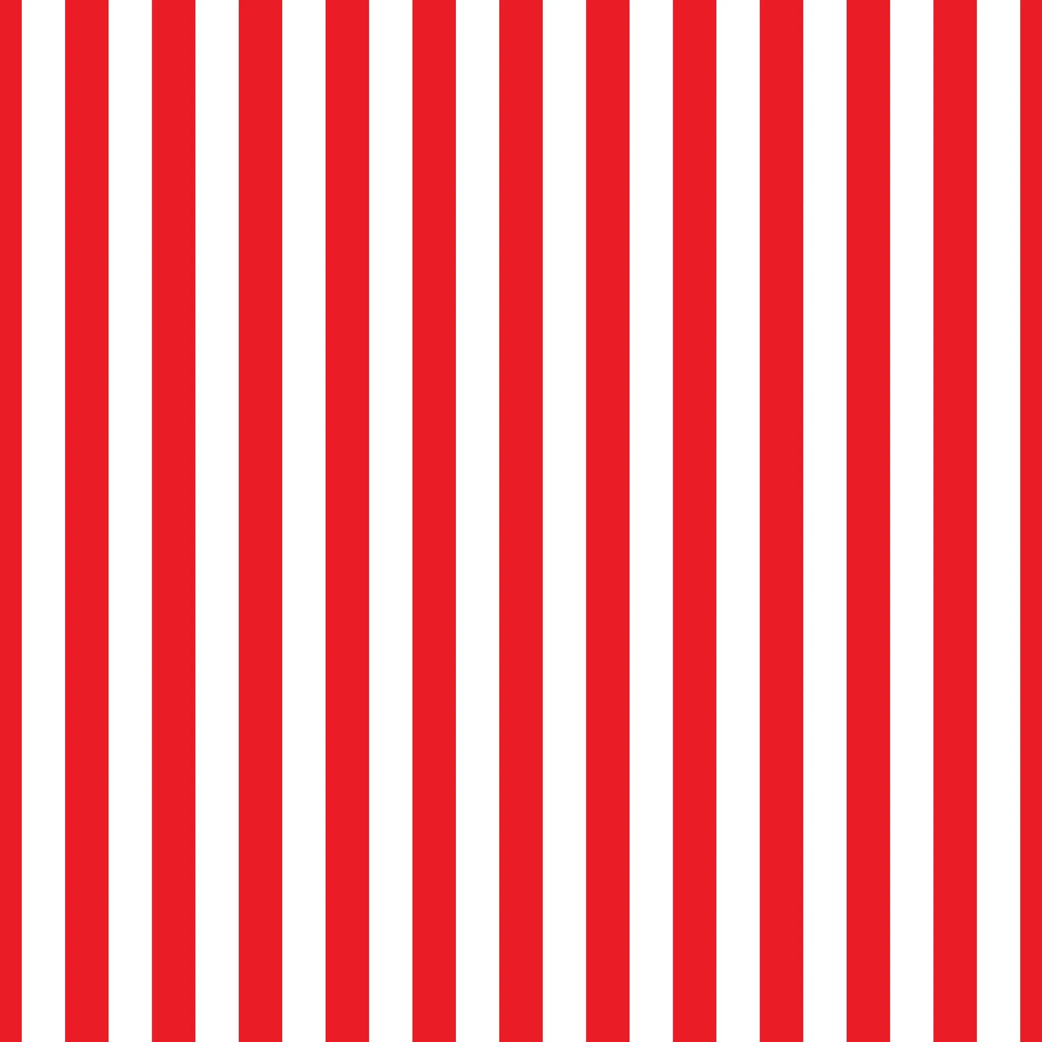 Essential Stripe Printed Vinyl Sheet