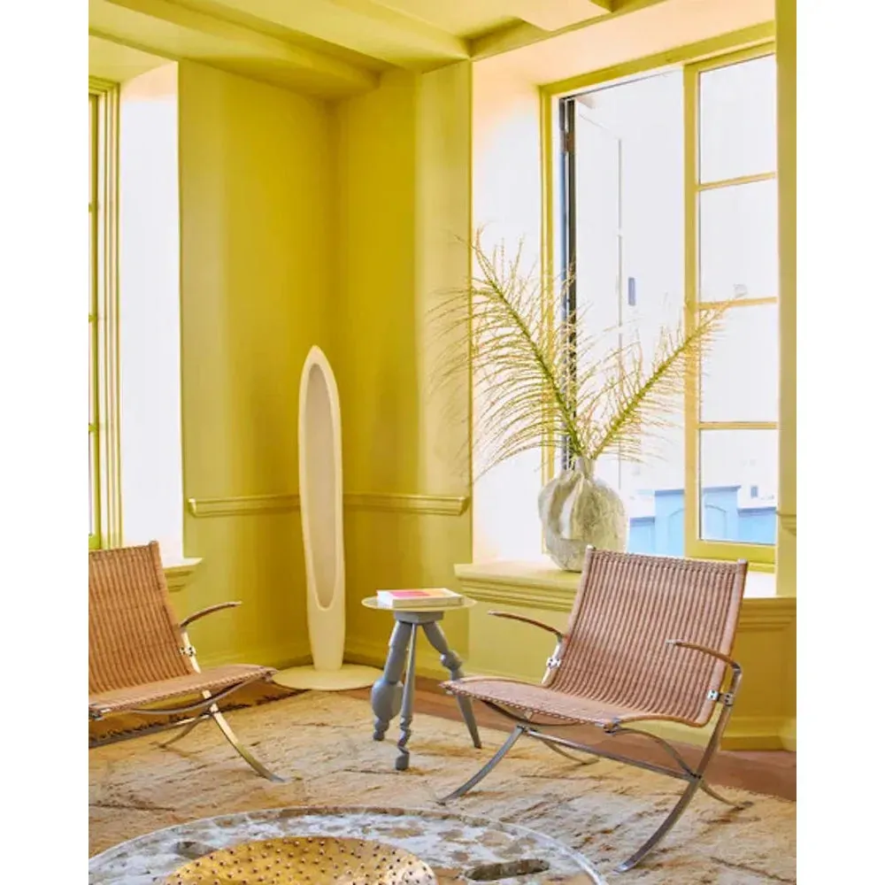 Farrow & Ball Citron Paint 74