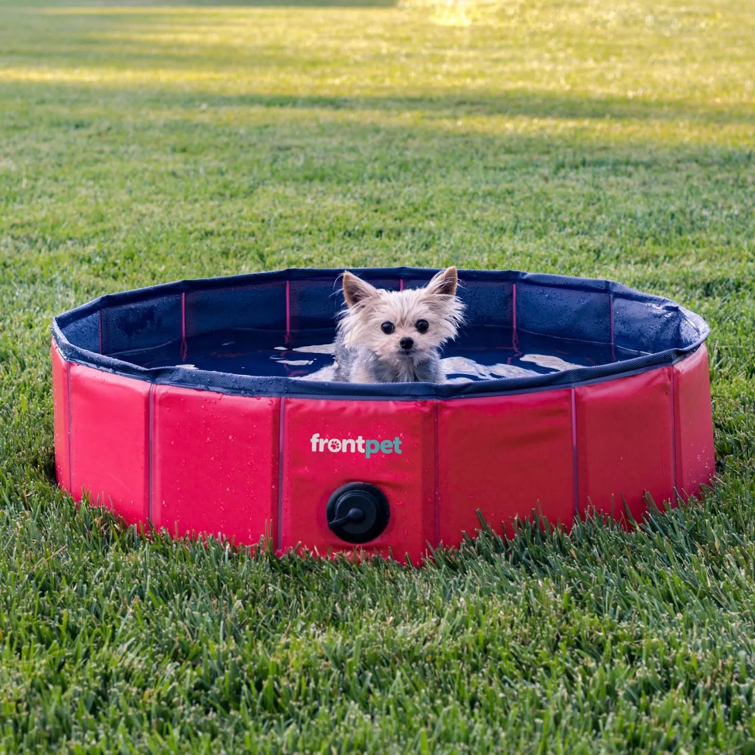 Folding Dog Pool with Drain Plug