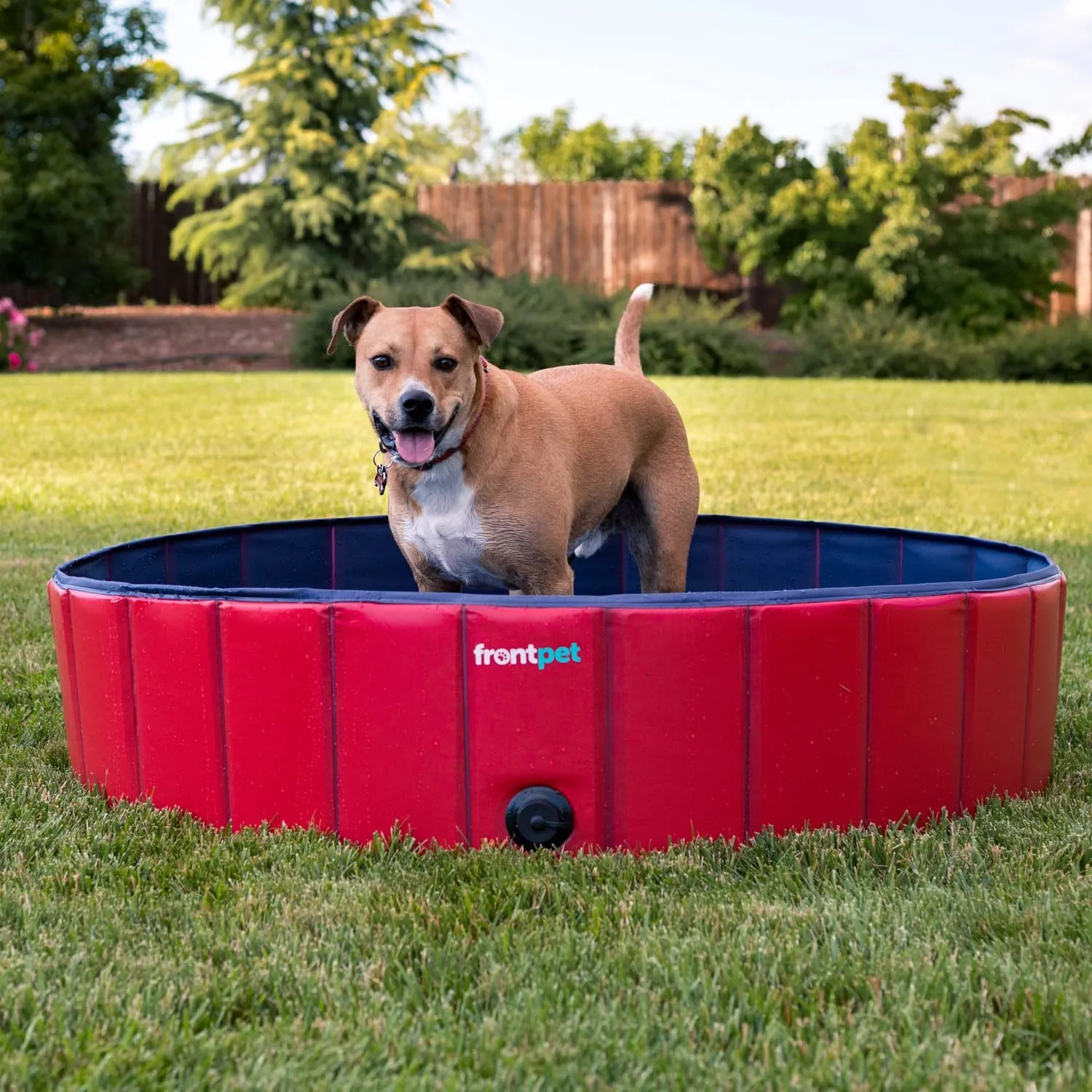 Folding Dog Pool with Drain Plug