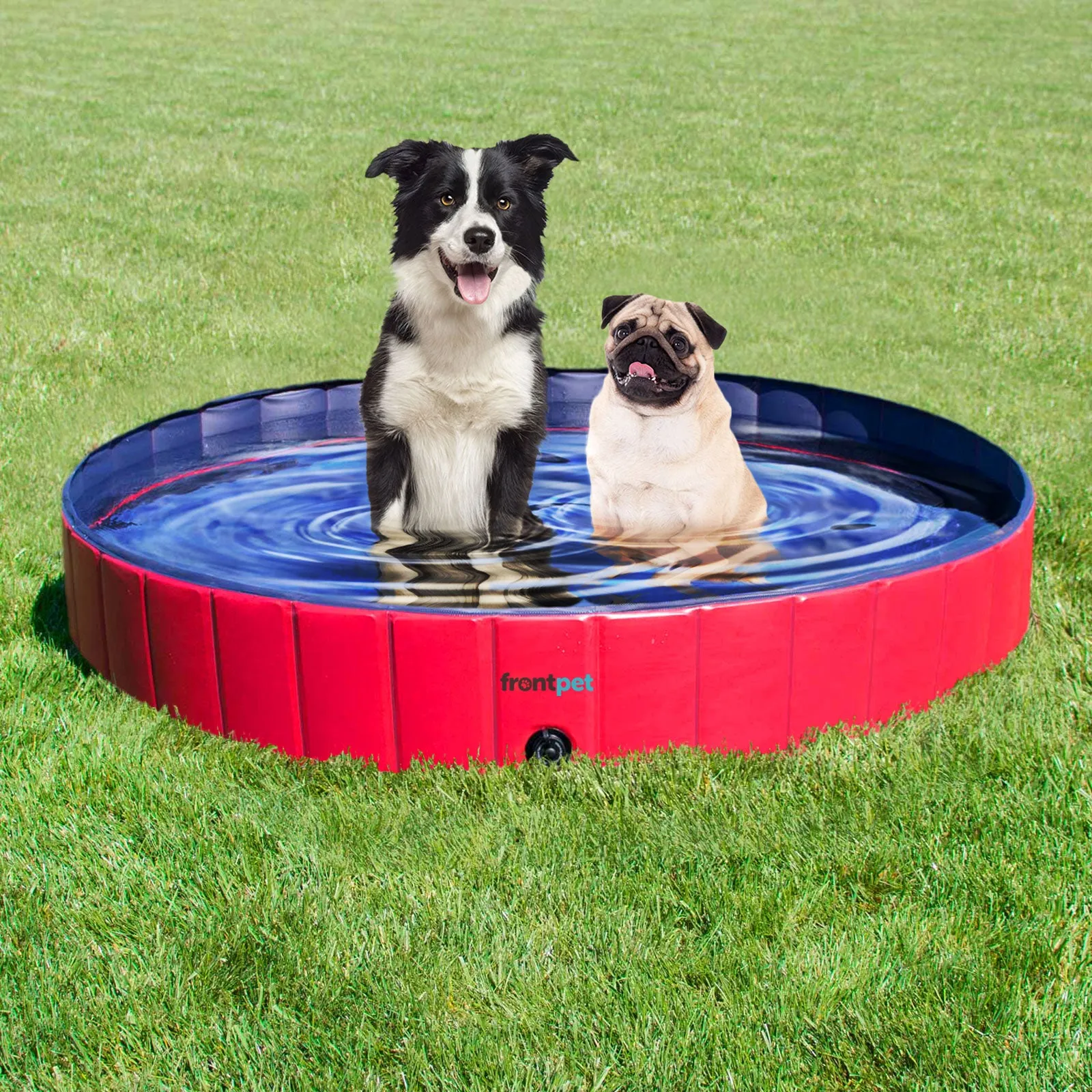 Folding Dog Pool with Drain Plug