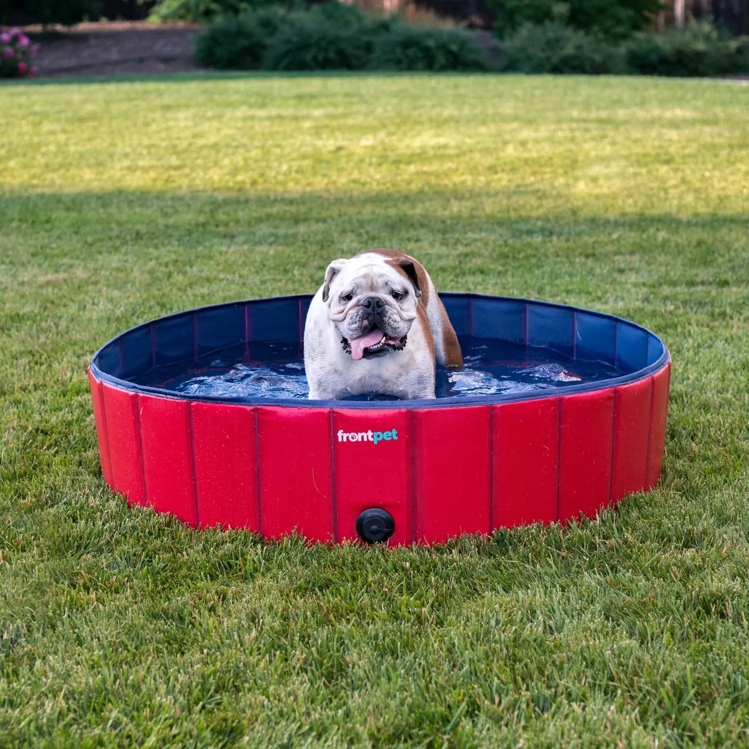Folding Dog Pool with Drain Plug