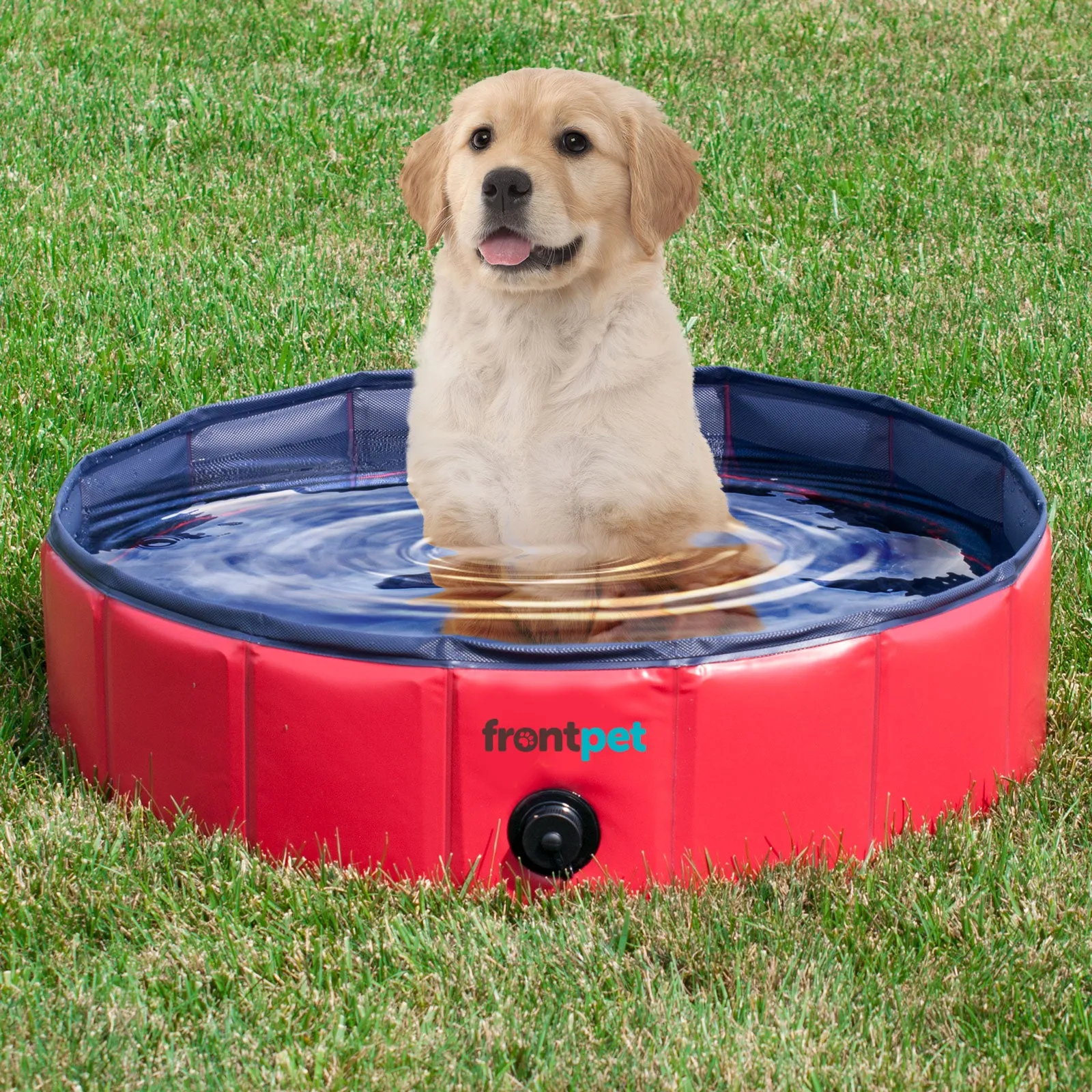 Folding Dog Pool with Drain Plug