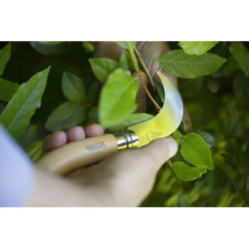 Folding Pruning Knife - Opinel No 10 Stainless Steel