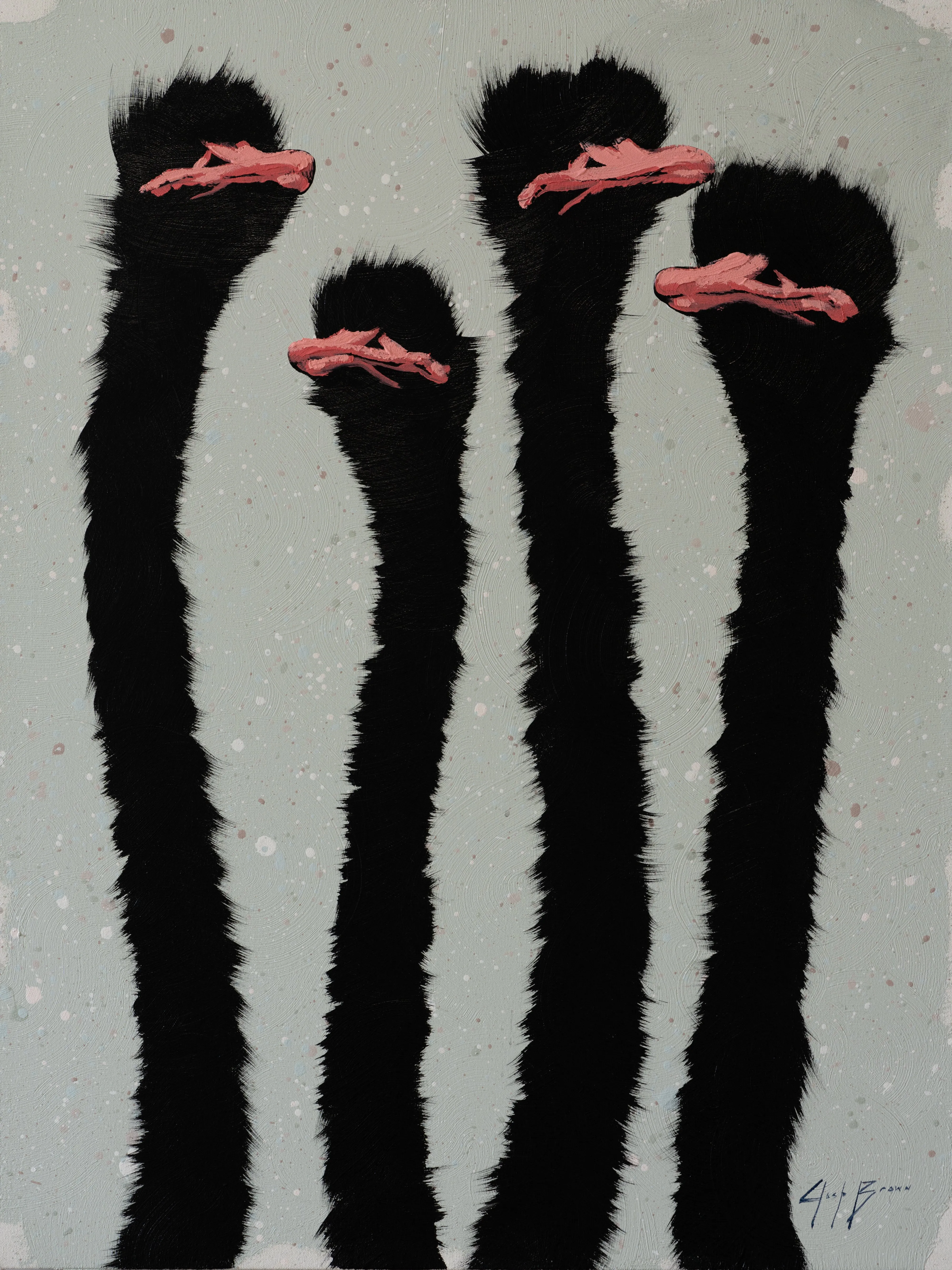 Four Pink Ostrich On Off Pink Splash