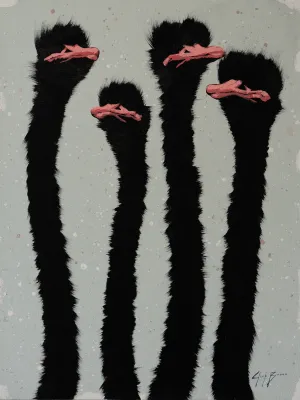 Four Pink Ostrich On Off Pink Splash