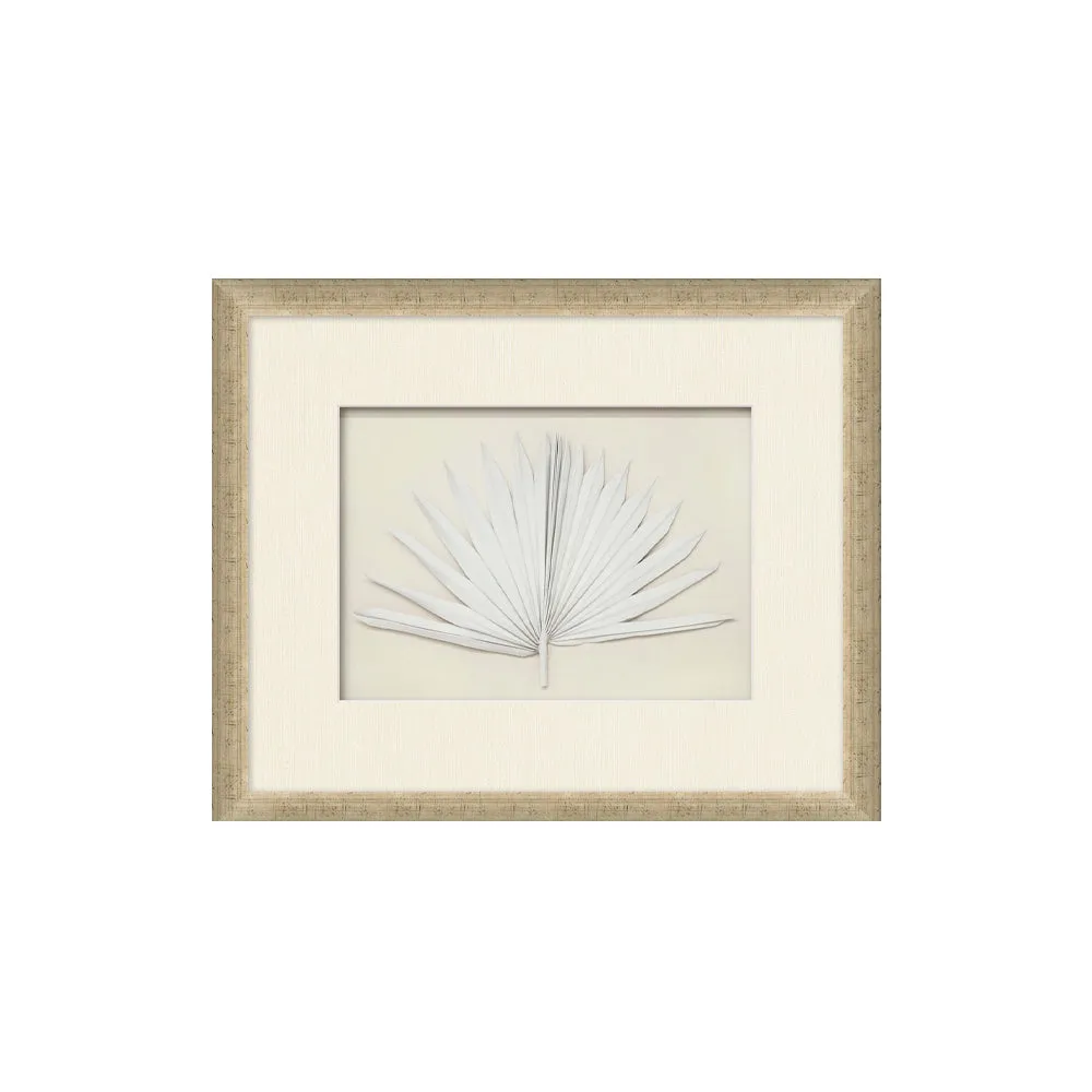 Framed Palm Fronds