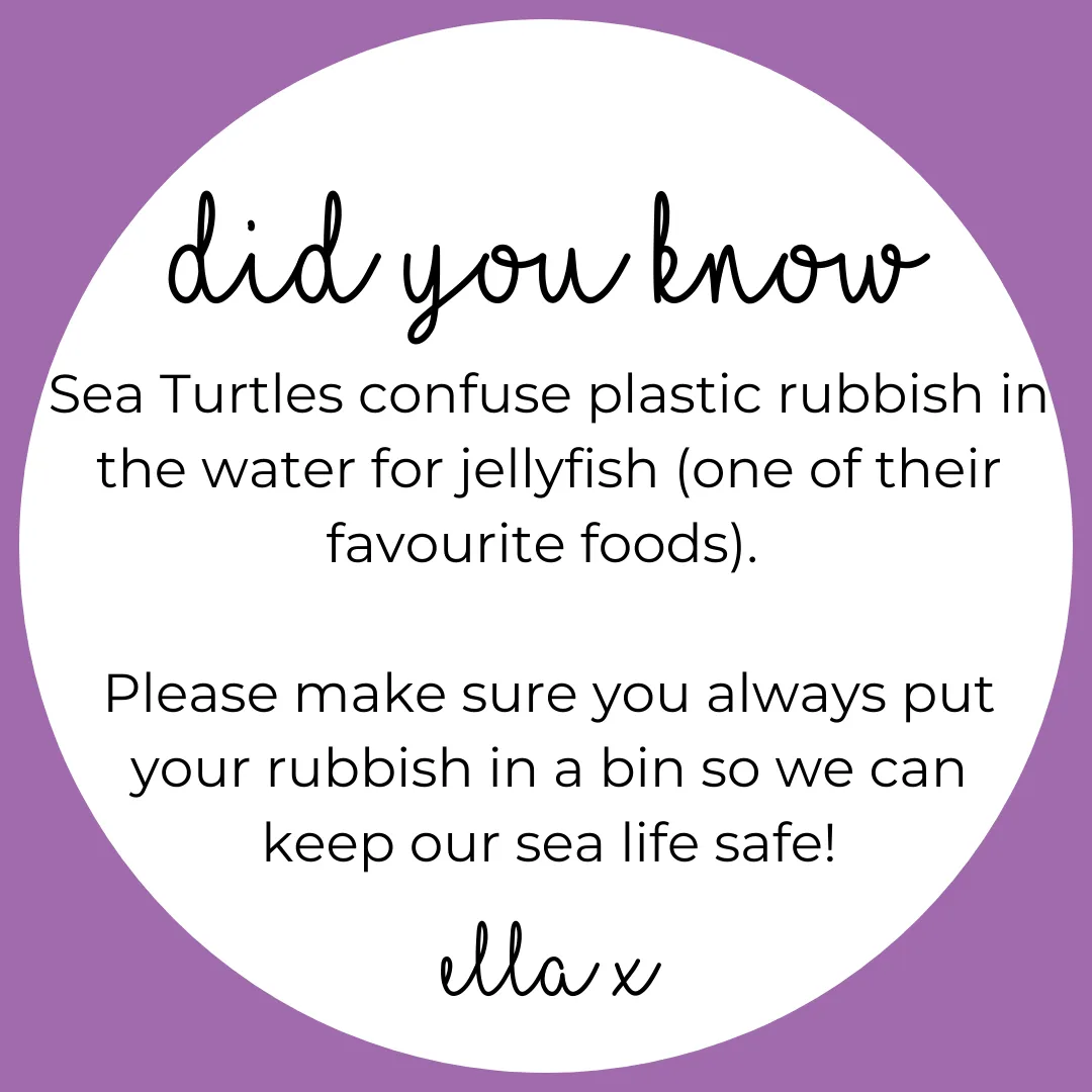 Limited Edition: Sea Turtle Covered Buttons