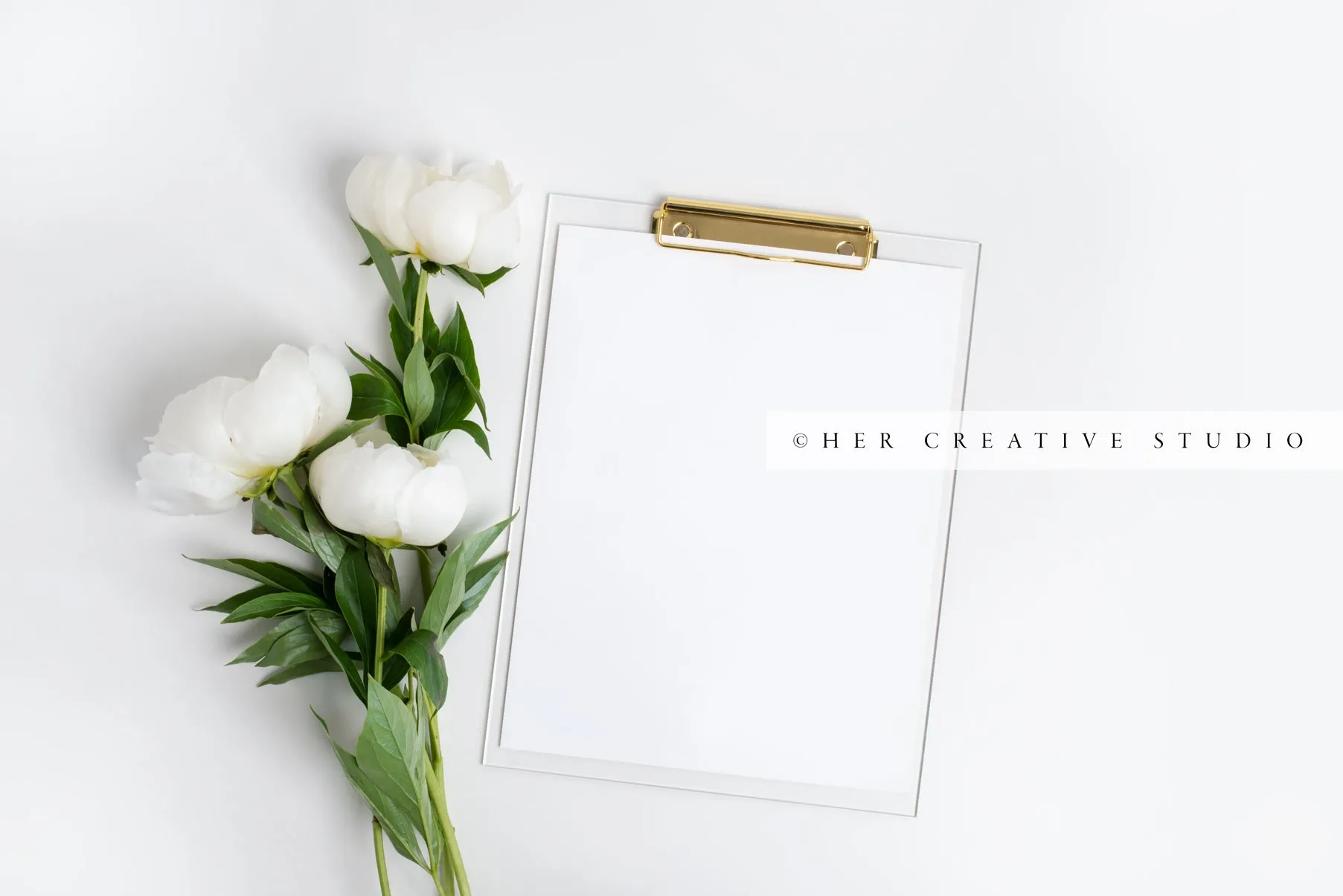 Neutral Workspace Bundle