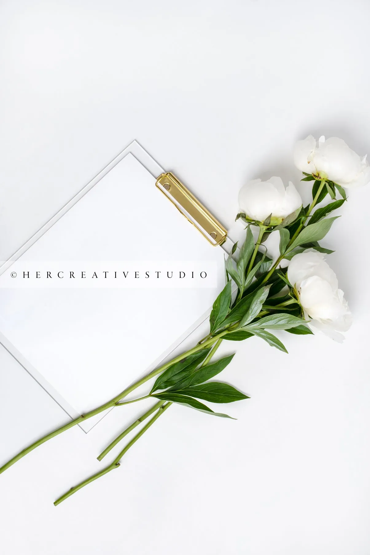 Neutral Workspace Bundle