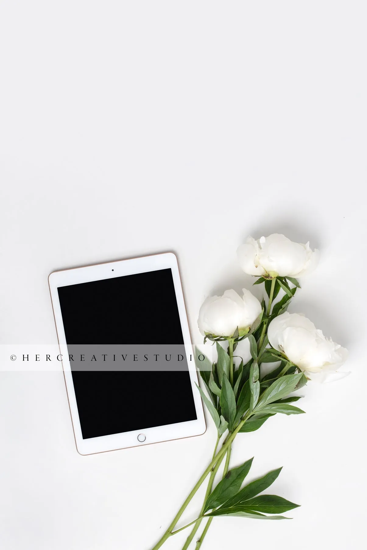 Neutral Workspace Bundle