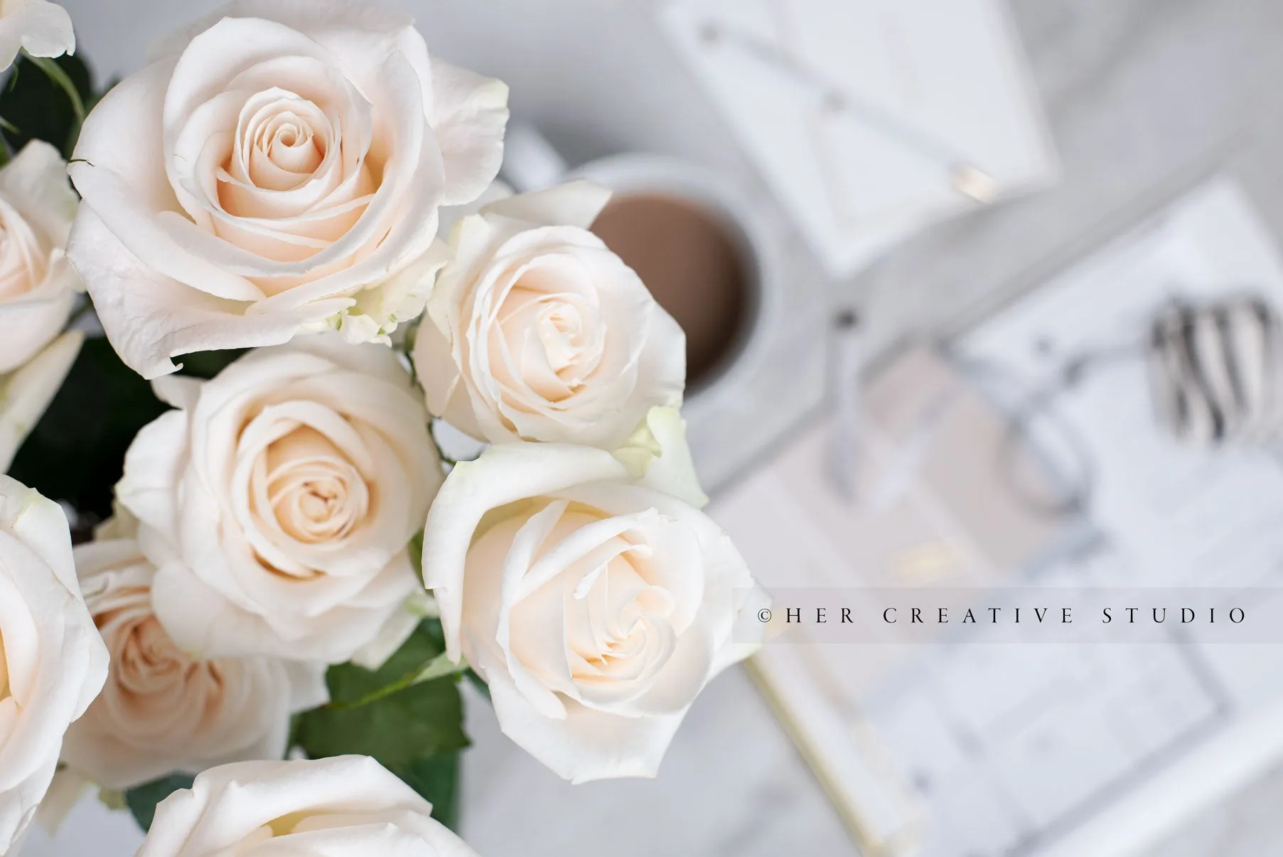 Neutral Workspace Bundle