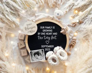 Pregnancy Announcement Gender Neutral Theme For Social Media