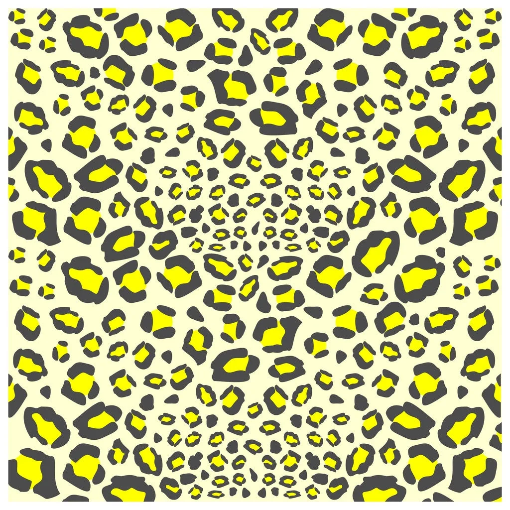 Rainbow Leopards Patterns Heat Transfer Vinyl Sheet
