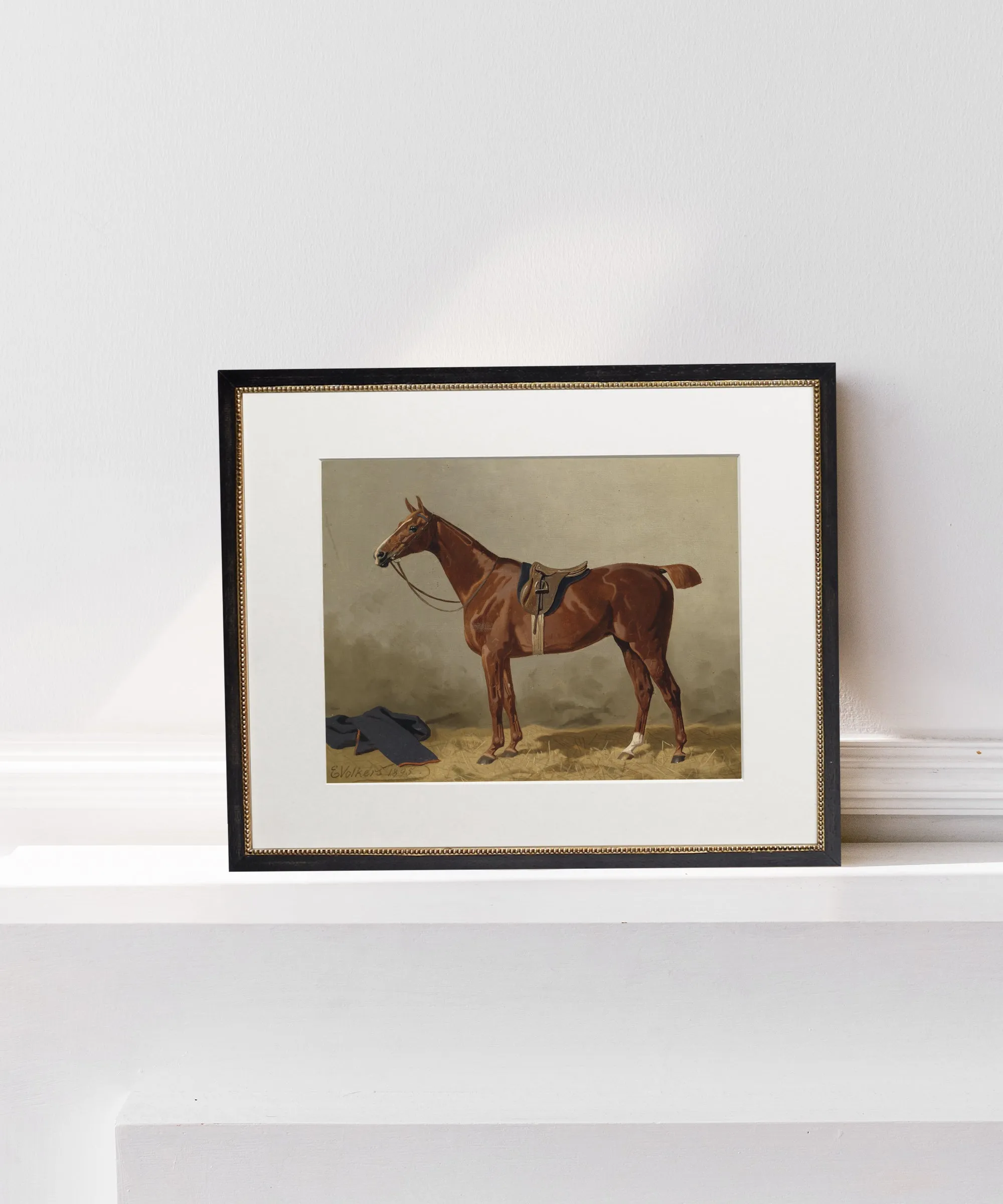 Set of Four Horse Portraits | Collection I