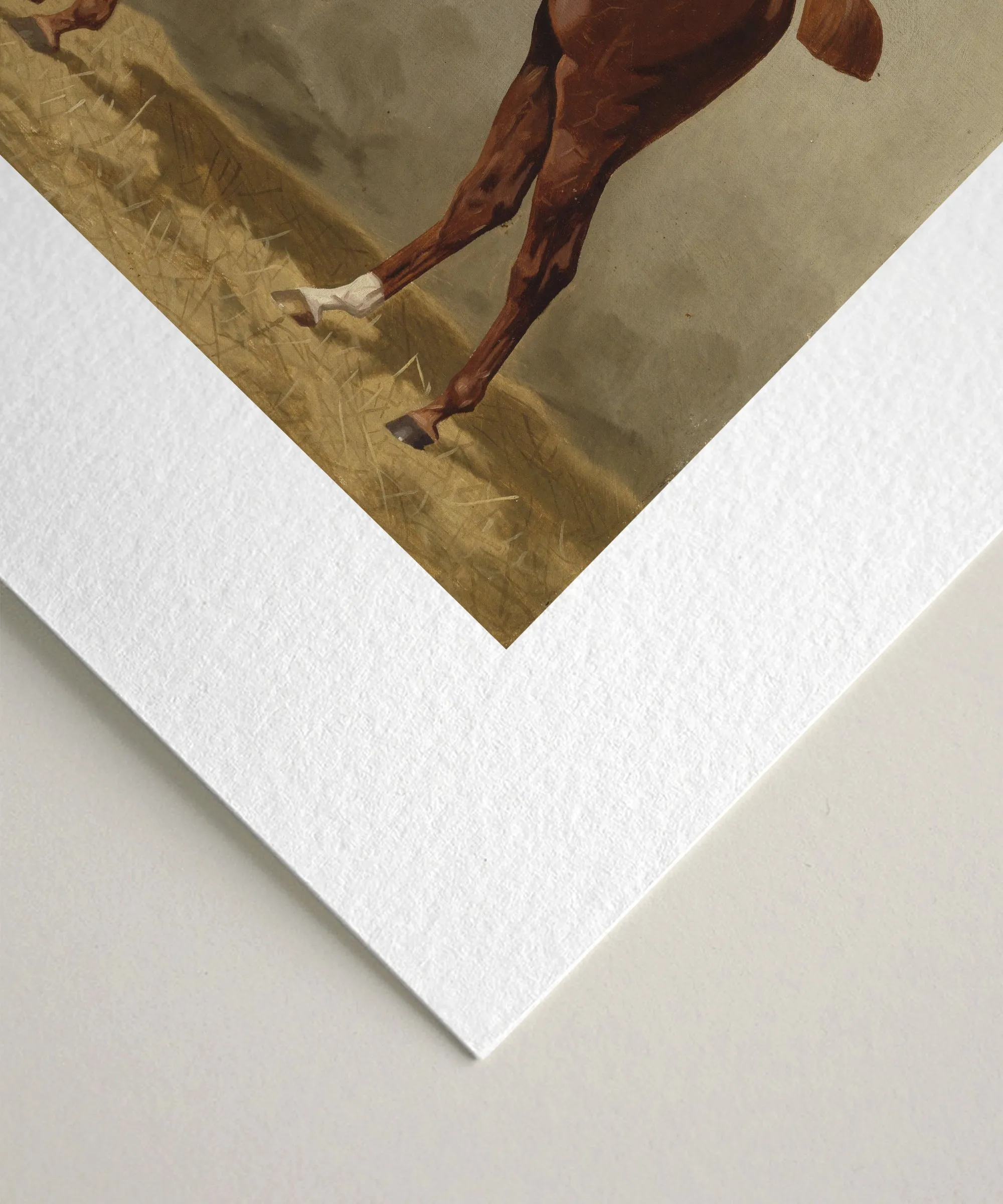 Set of Four Horse Portraits | Collection I