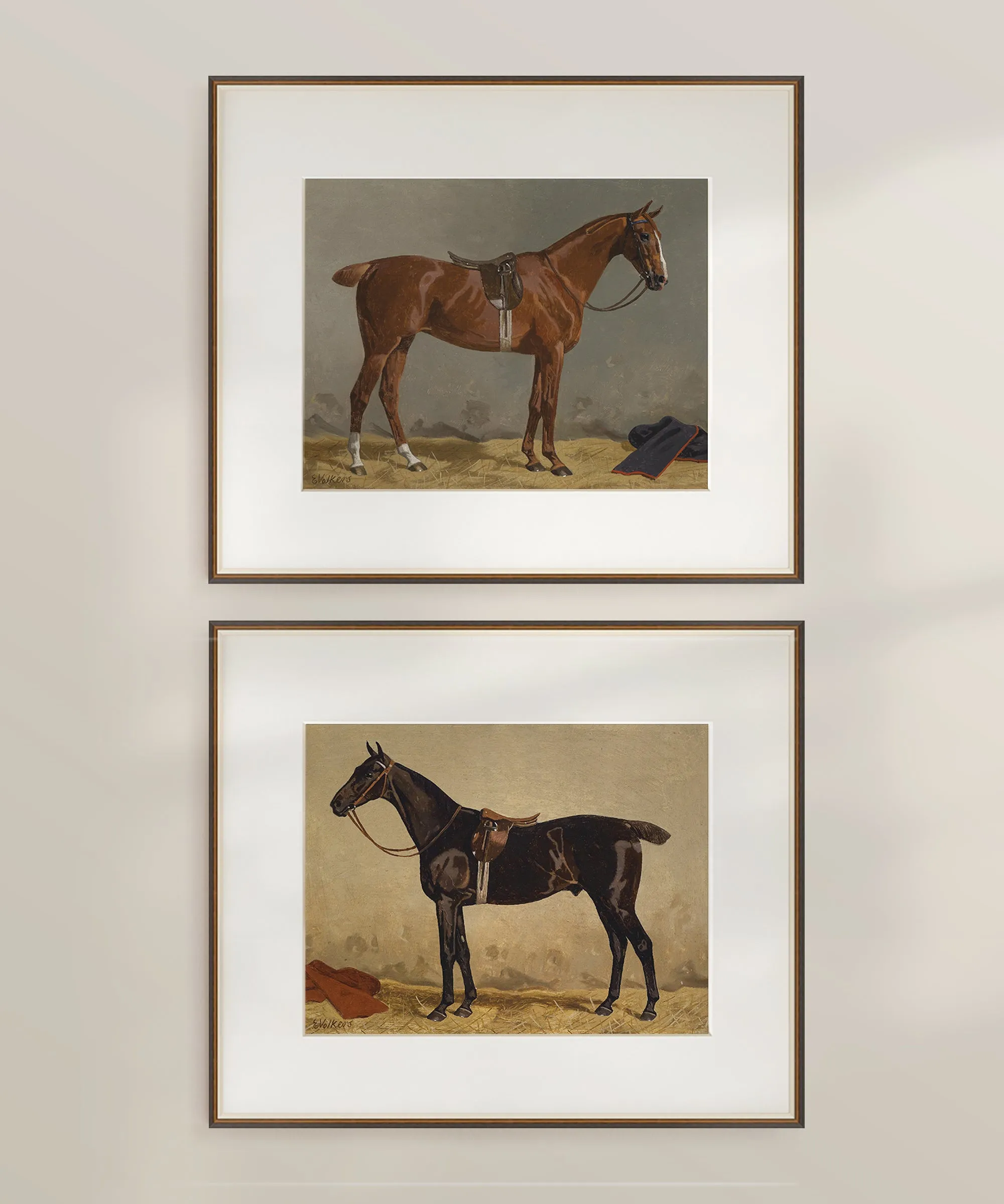 Set of Four Horse Portraits | Collection I