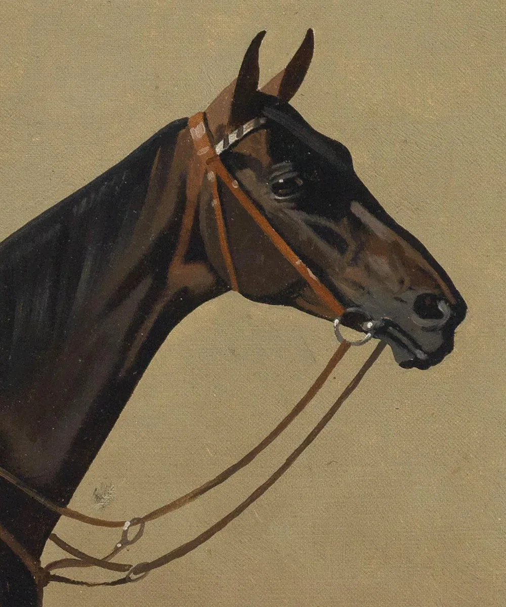 Set of Four Horse Portraits | Collection I