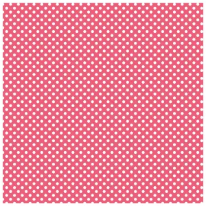 Watermelon Fruit Adhesive Vinyl Sheet