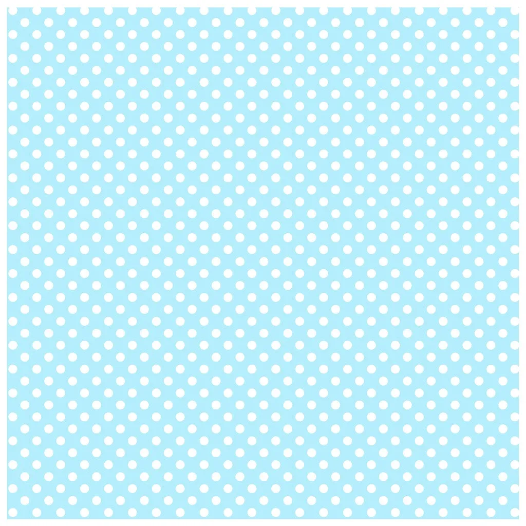 Watermelon Fruit Adhesive Vinyl Sheet