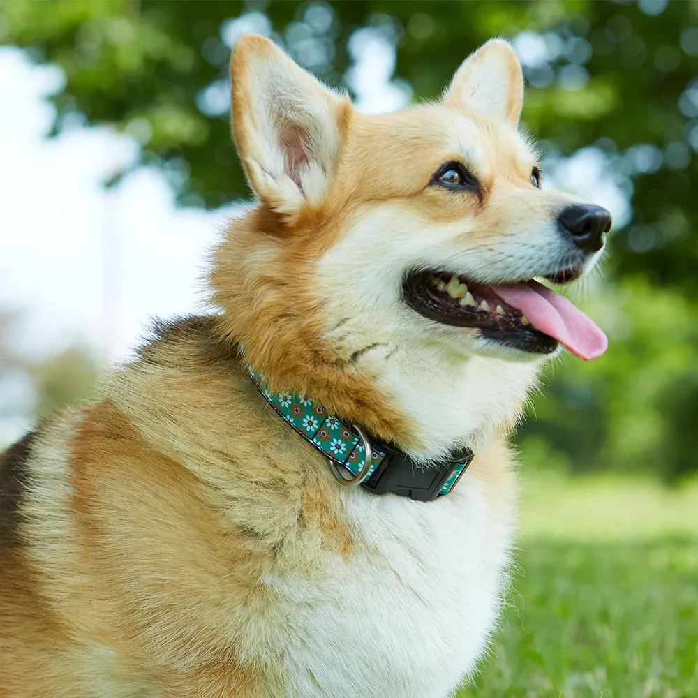Woodman - Dog Collar